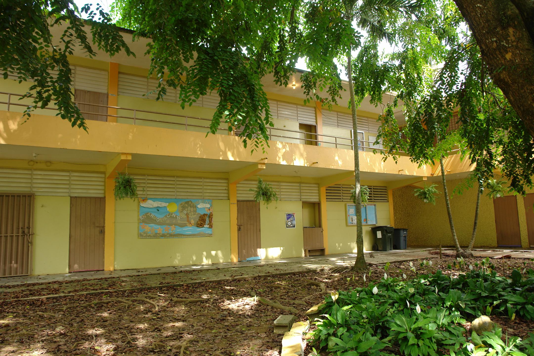 FDII - Aibonito - 2010 00029